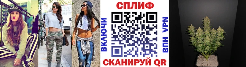 Конопля THC 21%  Купить где  Судогда 